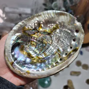 Abalone Shell | Smudge Bowl Tool