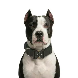 Tactical Dog Collar with Metal Buckle, Heavy Duty Nylon Pet Training Collar with Control Handle for Medium Large Dogs, Adjustable Outdoor Walking Collar for Bully Pitbull
