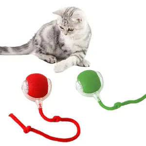 USB Rechargeable Interactive Cat Toy Ball, 1 Count Automatic Pet Exercise Toy, Motion Activate Electric Cat Toy, Pet Supplies for Indoor Outdoor Use, Valentine's Day Gift