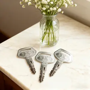 787 Keys Set for Excavators & Loaders, Durable Replacement Parts for Dozers & Backhoes, Essential Maintenance Tools Hardware