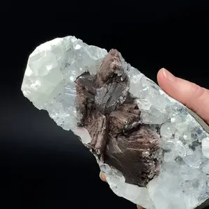Rare Brown Heulandite Fans with Clear Apophyllite Crystals & Stalactite Chalcedony in a Trimmed-out Pocket of Volcanic Basalt Matrix