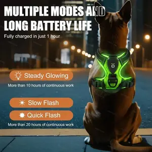 LED Reflective No-Pull Dog Harness - USB Rechargeable Light Up Safety Vest for Night Walking, 3 Glowing Modes, Breathable & Adjustable Comfort