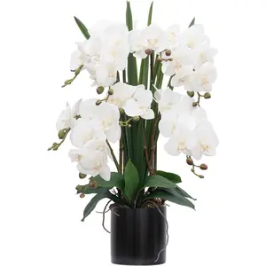 CXGS Artificial Orchid Flower Plants Real Touch Faux Orchids in Ceramic Vase 20.9'' White Phalaenopsis Orchid Fake Flower Arrangement Home Indoor Decor