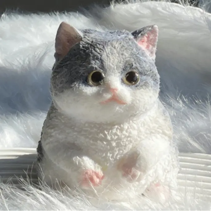 British Shorthair Blue and White Cat
