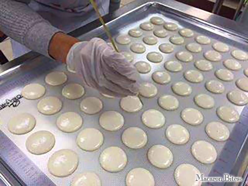 Macaron Bites Assorted French Macarons 48 Count Crunchy Exterior Moist Interior Gourmet Cookies Pastel Colors