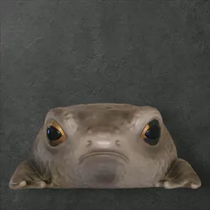 windy willow frog backpack grey