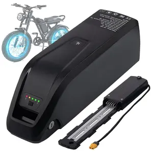 48V Ebike Battery 15Ah Lithium with 2A Fast Charger BMS USB Output Safe Lock LED Indicator for 0-1500W Bike Motor