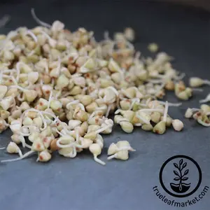 Buckwheat Groats (Organic) - Sprouting Seeds