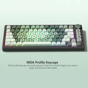 Womier PBT Keycaps, 134 Keys Dye-Sublimation MOA Profile Key caps for 100%, 75%, 65%, 60% Mechanical Keyboard
