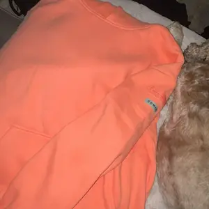 Comfrt | Travel Essentials Hoodie