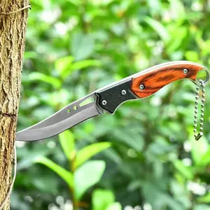 Portable, stainless steel fruit knife, steak knife, meat cutting knife