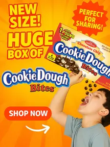 Chocolate Chip Cookie Dough Bites - Ginormous Box 18oz