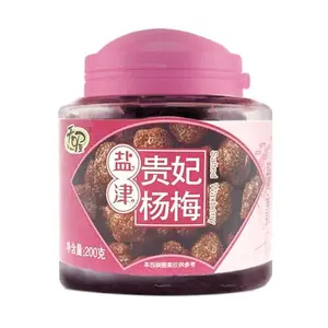 TEN WOW Salted Candied Bayberry - Sweet & Sour Dried Plum Fruit Snack, 200g