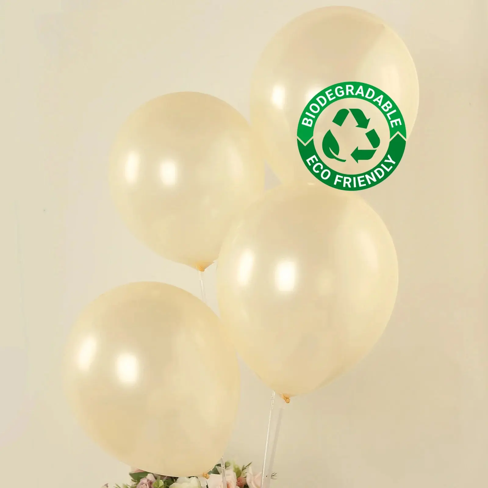 50-Pack 12 in Matte Pastel Cream Biodegradable Rubber Latex Balloons, Thick Eco-Friendly Round for Birthday Decor, Balloon Decor (Home & Festive Party Supplies), Hanging Decor
