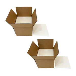 Insulated Shipping Box (9x9x11) inches with Styrofoam Insert 2 Pack Bundle for Temperature-Controlled Mailing and Shipping