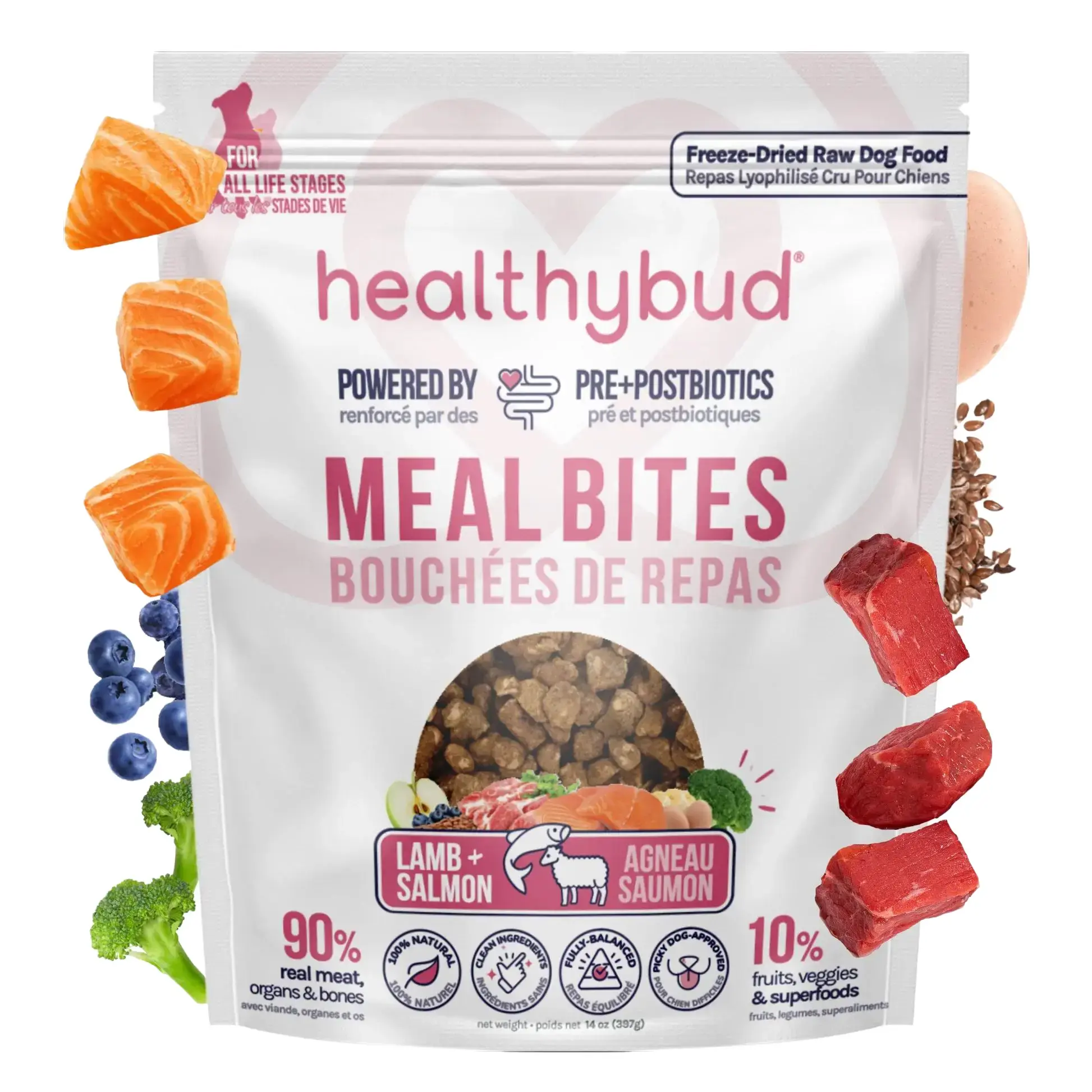 Healthybud Lamb & Salmon Meal Bites - Dehydrated/Freeze-Dried Dog Food with Raw Nutrition, Advanced Gut Support, Crunchy Texture for Sensitive Stomachs & Picky Dogs Feeding Remedy Chews