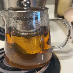 550ML/18.6oz Mini Size Glass Teapot Tea Kettle-with Stainless Steel Removable Infuser for Blooming Tea & Loose Leaf Tea, Microwave & Stovetop Safe