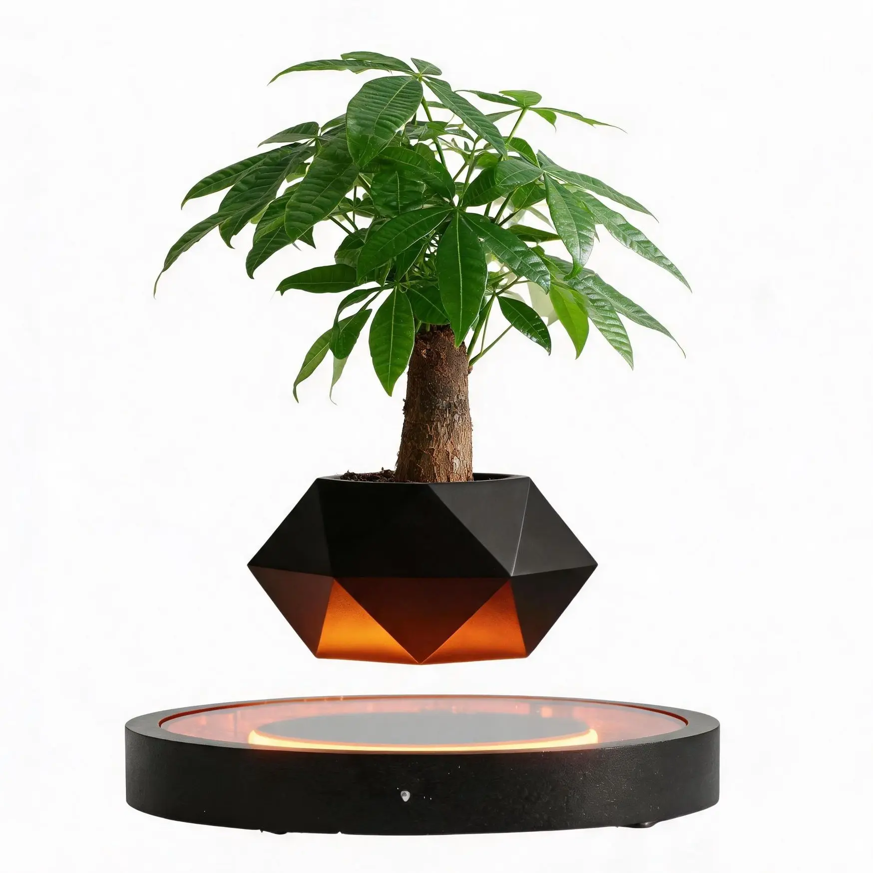 MAGECMOON Magnetic Levitation LED Planter rotates 360° and works as a lovely night light  With futuristic style it fits desktops in bedrooms living rooms and studies It’s a great gift for plant lovers housewarmings business events and Father’s Day