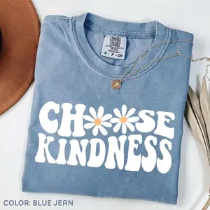 Choose Kindness Comfort Colors Shirt, Teacher Shirt, Motivational Shirt, Teacher Appreciation, Back To School Teacher Shirt, Be Kind Shirt
