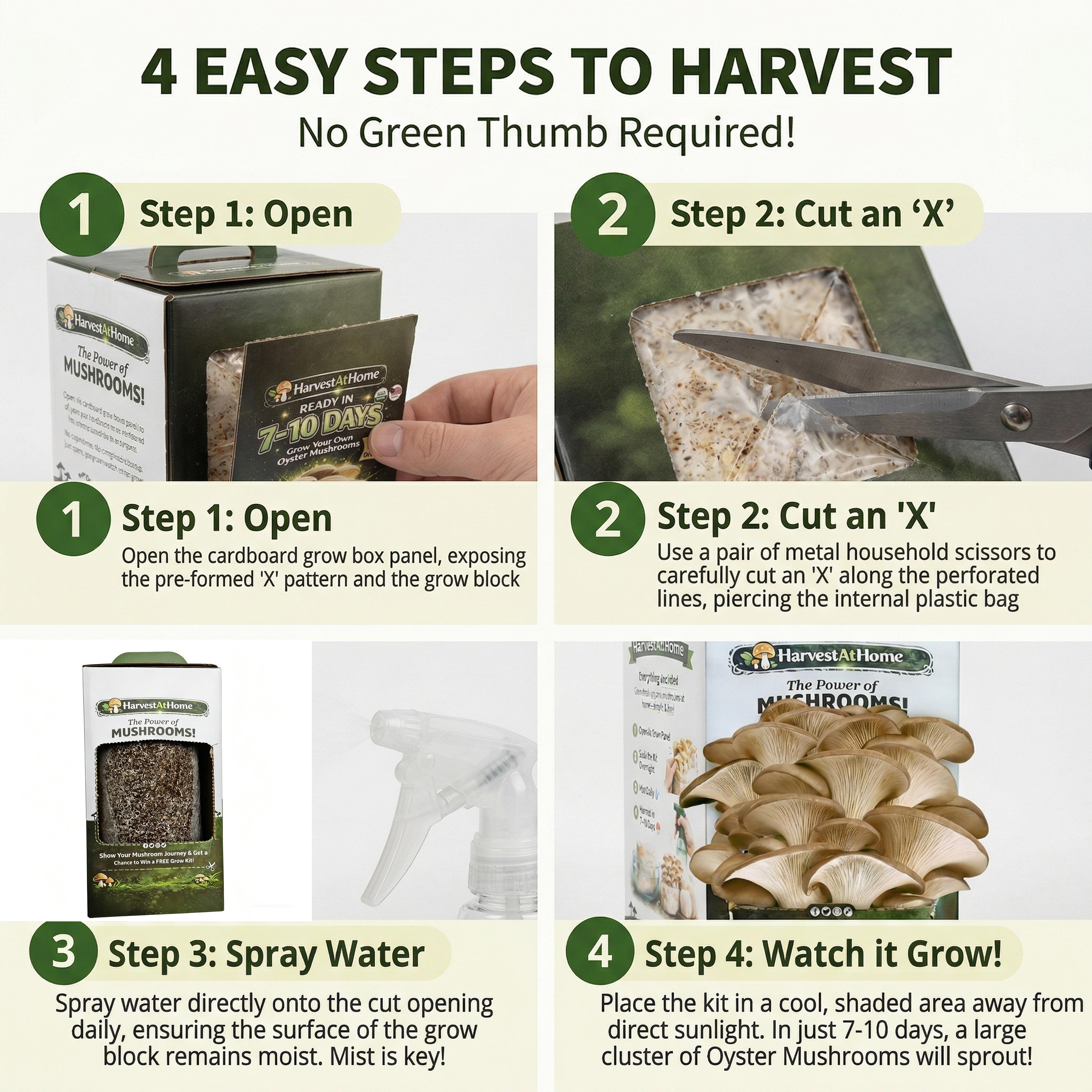 HarvestAtHome Certified USDA Organic Mushroom Kit 3-Pack (3.5lb) - Pure Mycelium Healthy Edible Fungi, 1-7 Days Fast Growth, Interactive Visual Experience, Food for Adults, Made in USA, All Seasons