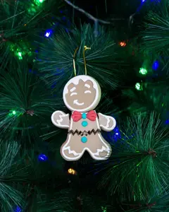 Mr. Crumbles: The Gingerbread man ornament!