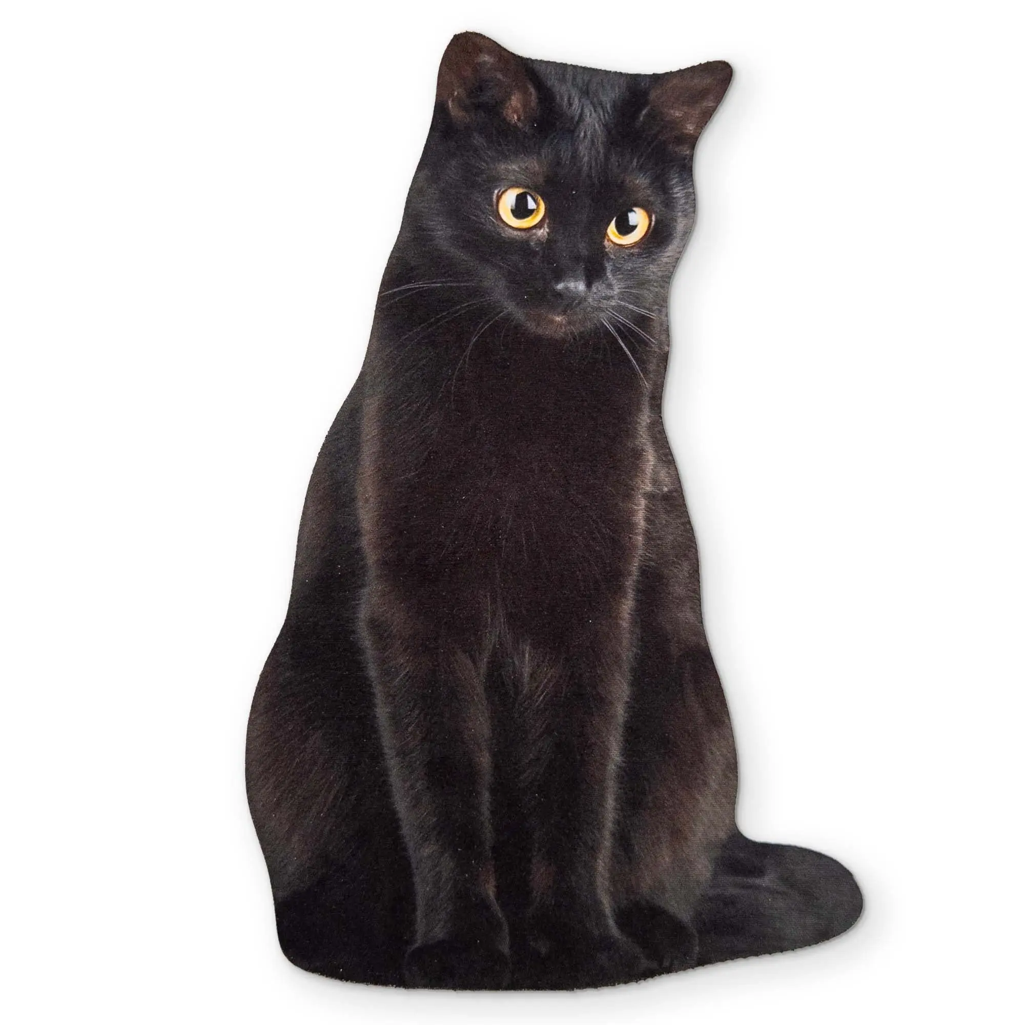 🐈‍⬛ A BLACK CAT YOU CAN CLEAN YOUR GLASSES WITH