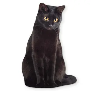 🐈‍⬛ A BLACK CAT YOU CAN CLEAN YOUR GLASSES WITH
