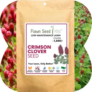 Flawn Seed Kits Crimson Clover Seed, Pollinator Friendly, Low Maintenance, Lawn Alternative, Ground Cover, Kraft Zipper Pouch, Covers 100-7,200 Sqft