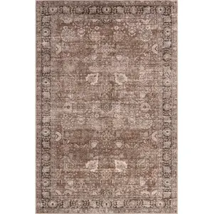 Bayberry Spill Proof Vintage Machine Washable Area Rug