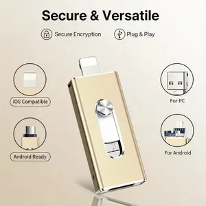 256GB High-Speed USB Flash Drive, Thumb Drive, Compatible with iPhone and Android, Ideal for Photo and Video Backup, Plug-And-Play Convenience