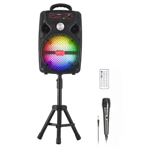 Portable Bluetooth Party Speaker, Loud Sound Deep Bass Wireless Boombox with Large 8" Subwoofer, Colorful Light, Microphone, Remote