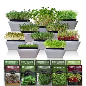 10 Variety pack Microgreens Seeds - Nutritious Sprouting Vegetables