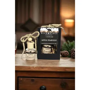  Car Diffuser Air Freshener | Long Lasting, Non-Toxic (4–6 Weeks)