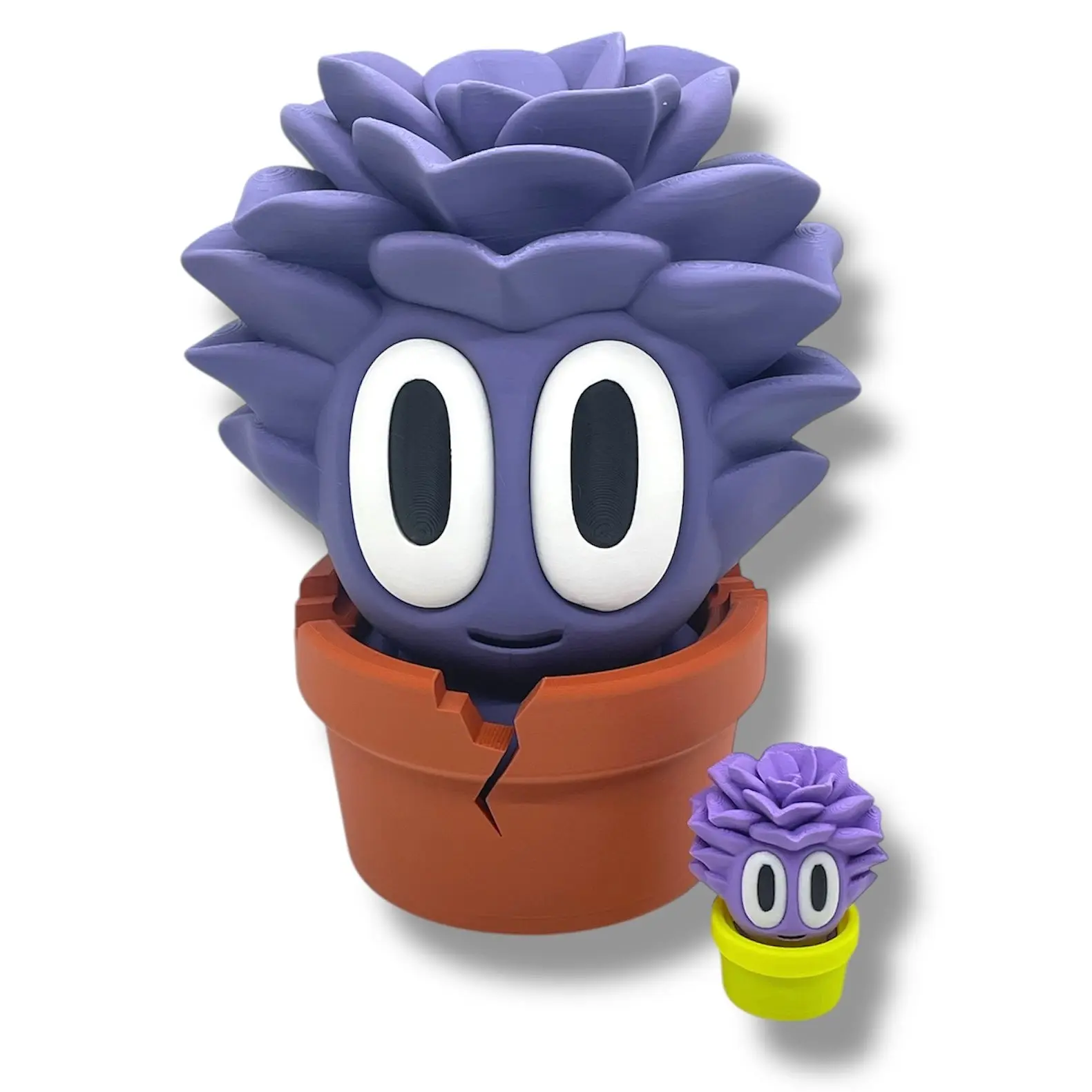 CHONKZ Succulent Plant