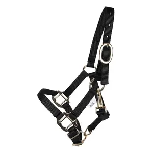 Schneiders Miniature Horse Double Ply Nylon Halter