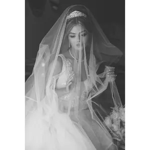 ELLINA Simulated Diamond Bridal Tiara