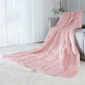 Reversible Weighted Blanket for All Season, Luxury Velvet, Warm and Cool, for Adult Kids 5Lb, Enjoy Sleeping Anywhere, Pink 36"x48" 5lbs