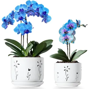 Set of 2 White Orchid Pots With Holes and Saucer, 5 + 6 Inch Ceramic Planters for Repotting, Drainage Holes and Tray,  Flower Containers for Indoor Outdoor Use