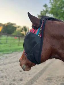 Fly Mask