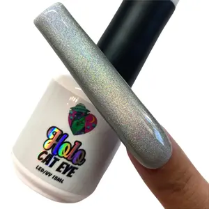 GEL POLISH – HOLO CAT EYE