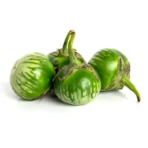 Green Thai Eggplant Seeds - Solanum melongena var. aethiopicum - Nutritive & Flavorful - Perfect for Stir-fries & Curries - Grow Your Own Healthy Produce