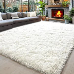 Shag Area Rugs for Bedroom Living Room, Shaggy Area Rugs, Ultra Soft Fluffy Area Rugs for Dorm, Indoor Carpet Nursery Rugs for Kids Room Home Decor