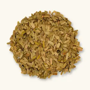 Natural Tamarind Leaf Litter (8oz) by Betta Botanicals for Shrimp Tanks & Blackwater Aquariums