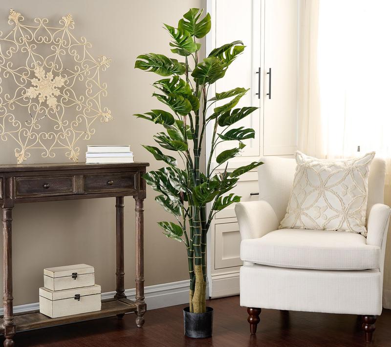 5' Monstera Potted Plant by Valerie