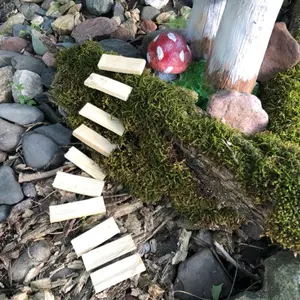 Fairy Garden Steps
