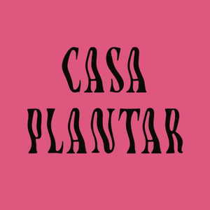 Casa Plantar Biodegradables