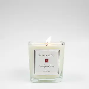 Eucalyptus Mint Small Cube Candle
