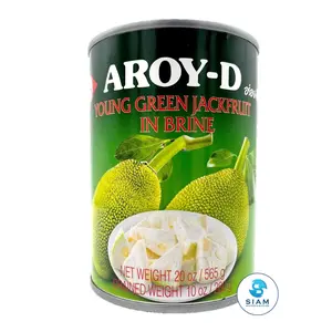Aroy-D Young Green Jackfruit in Brine (Drain wt 10 oz-Net wt 20 oz) ขนุนอ่อนในน้ำเกลือ อร่อยดี