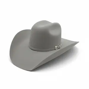 30x Texas Grey Platinum Wool Western Hat-ZG30