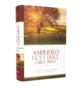 Amplified Bible-Am-Large Print: Captures the Full Meaning Behind the Original Greek and Hebrew -- Zondervan - Bible